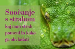 soočanje s strahom - kaj nam strah pomeni in kako ga obvladati